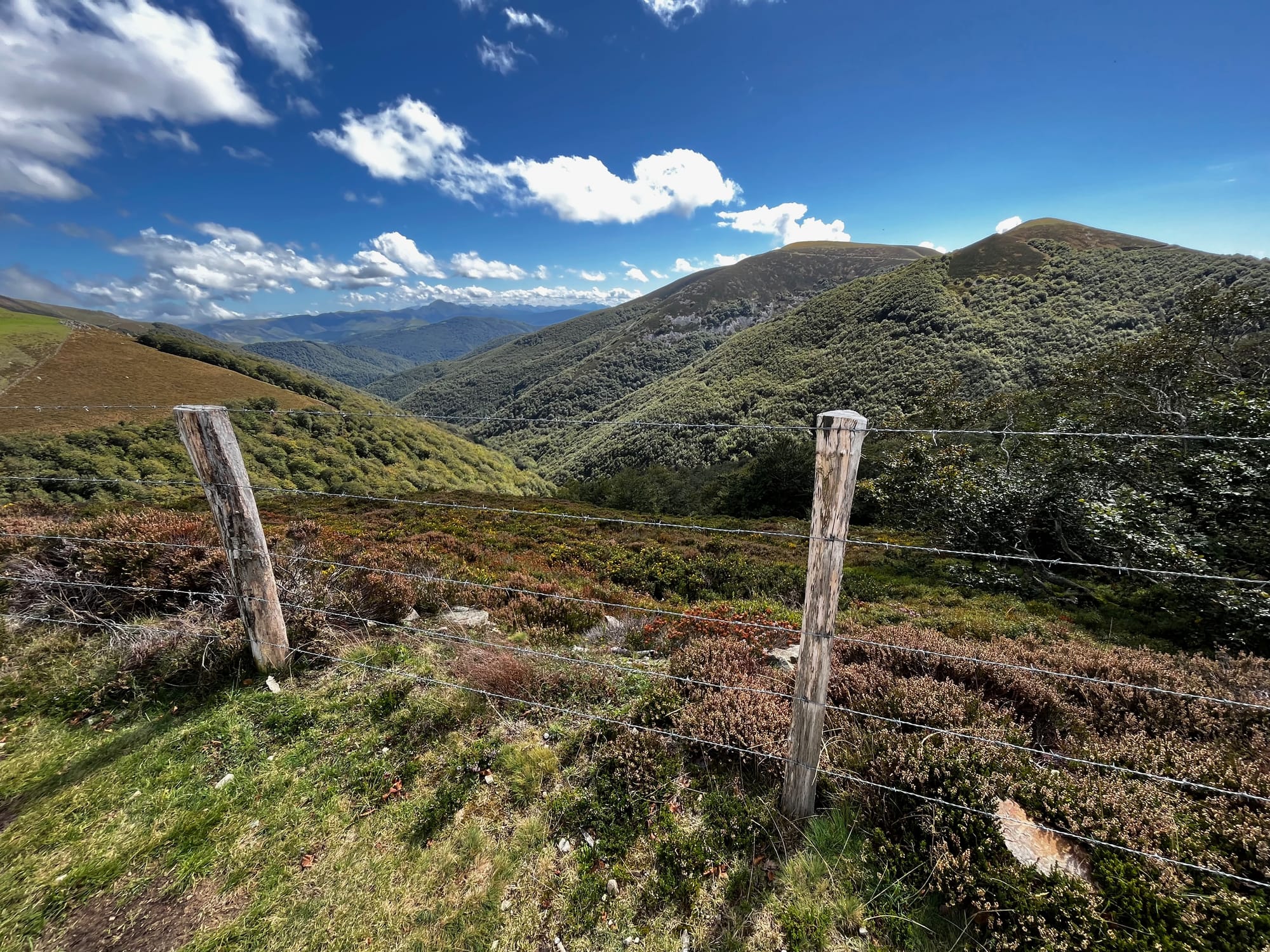 My walk across Spain on the Camino Frances