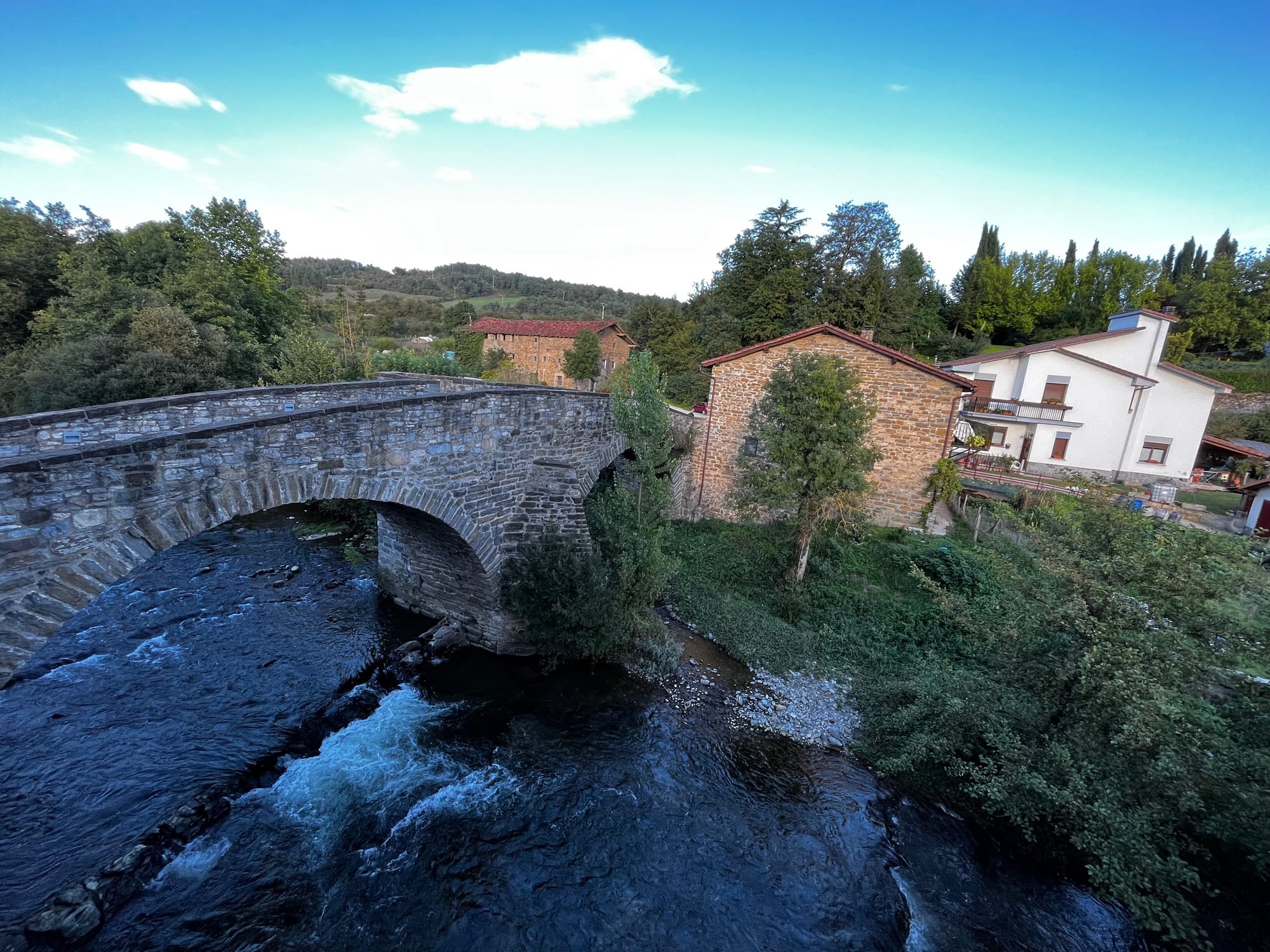 My walk across Spain on the Camino Frances