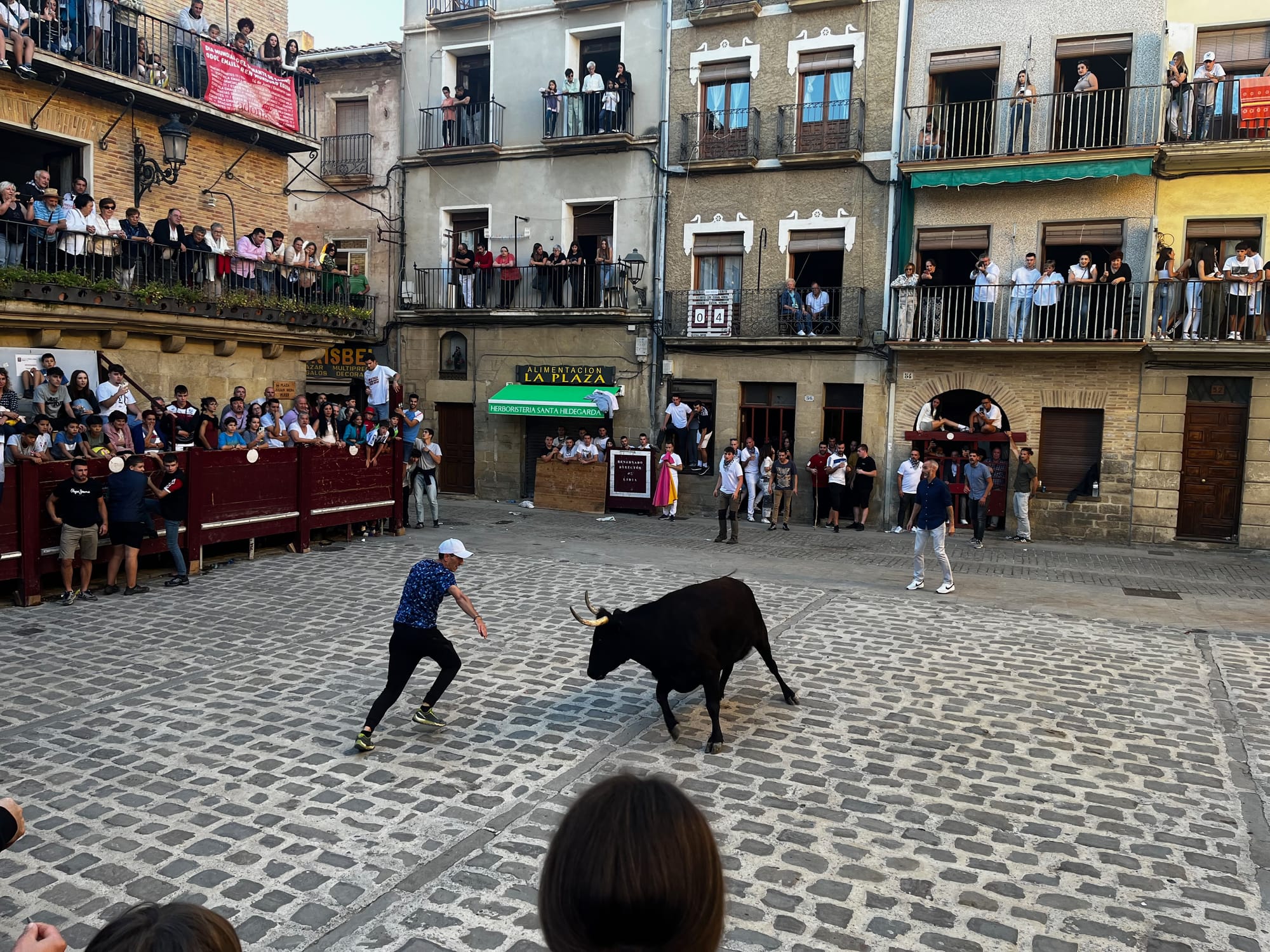 My walk across Spain on the Camino Frances