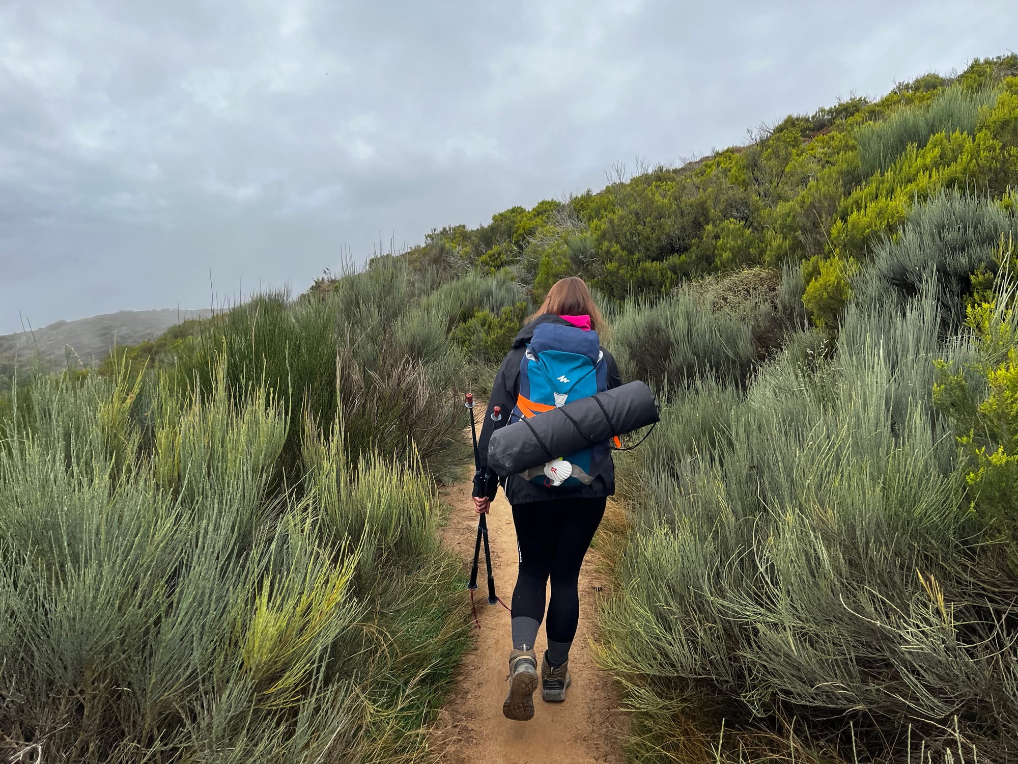 My walk across Spain on the Camino Frances