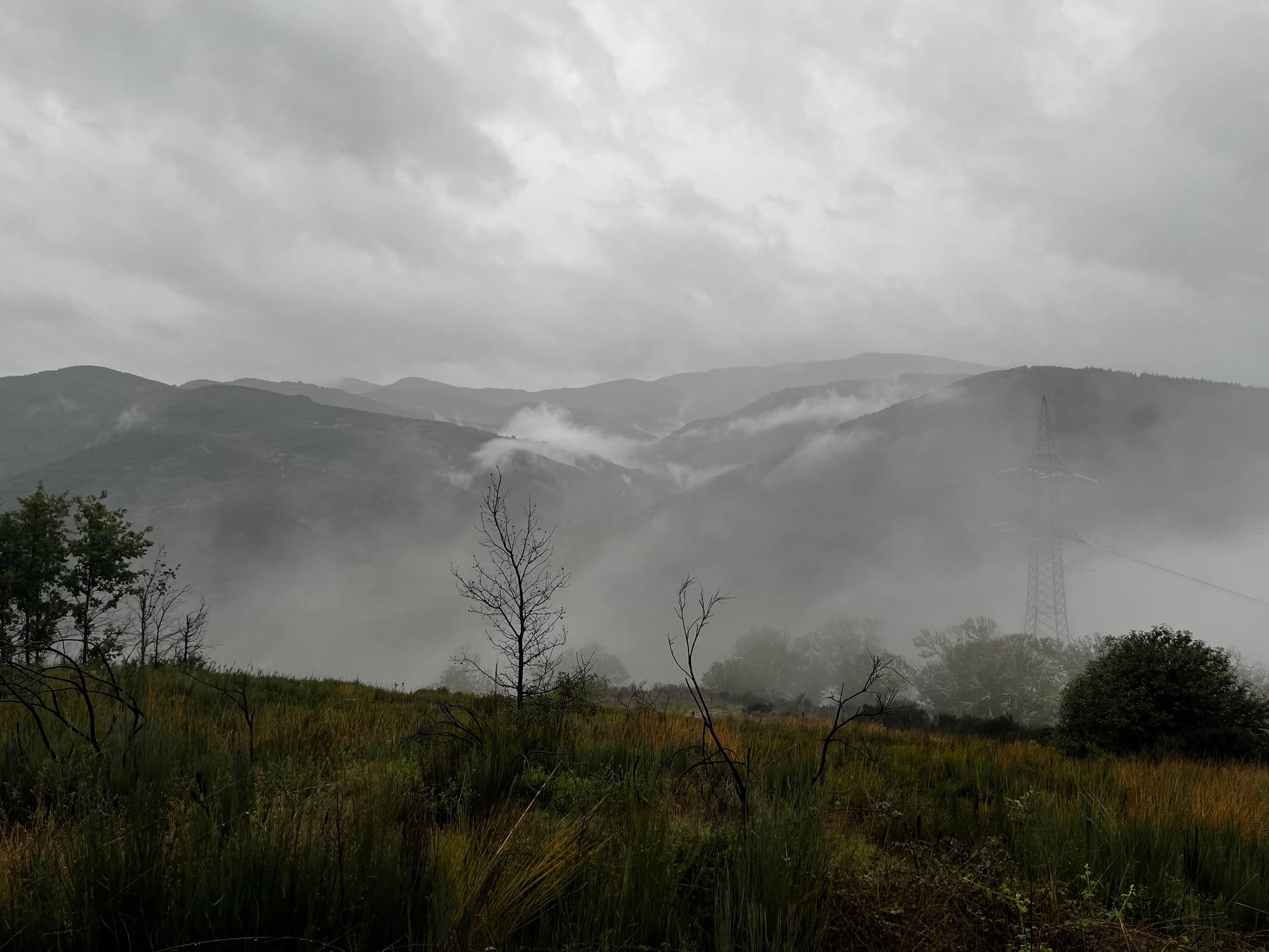 My walk across Spain on the Camino Frances