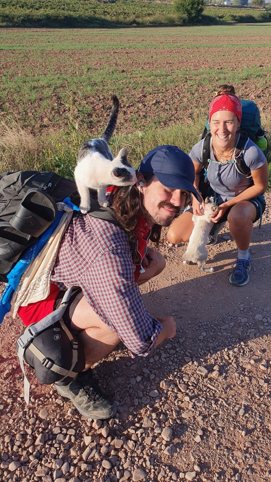 My walk across Spain on the Camino Frances